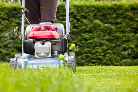 Summer_Landscaping