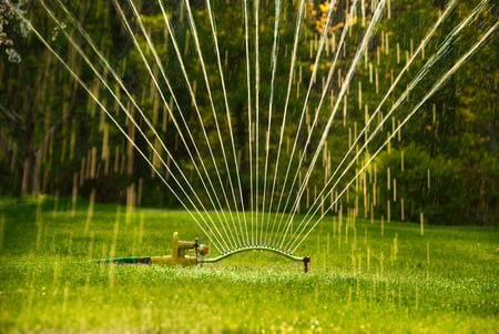 Summer_Landscaping